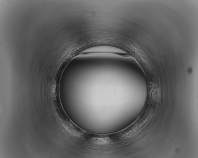 X0000095950548200801181424