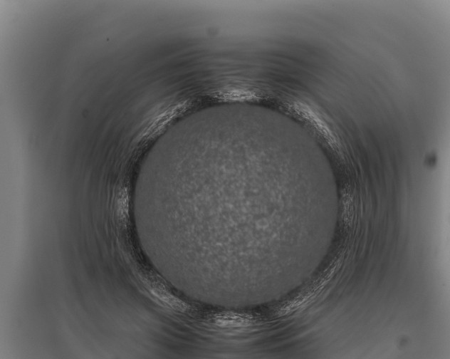 X0000095950549200801181424