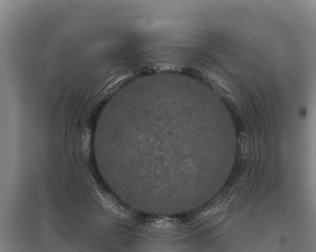 X0000095950550200801181424