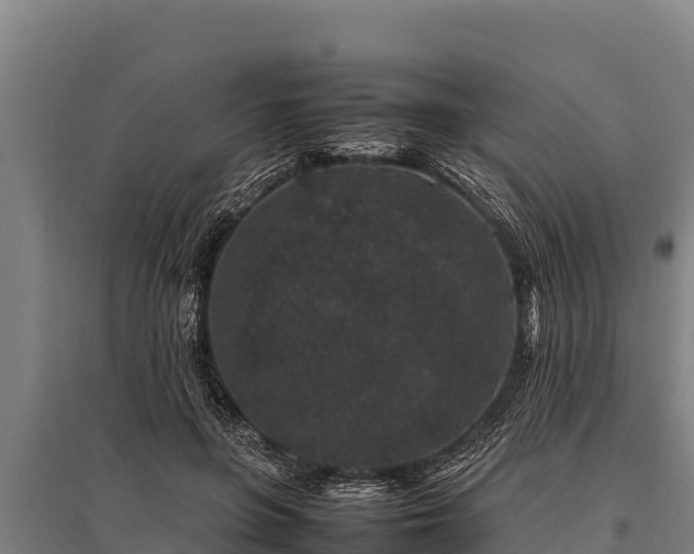 X0000095950551200801181424