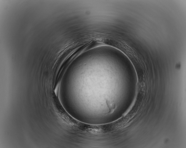 X0000095950552200801181424