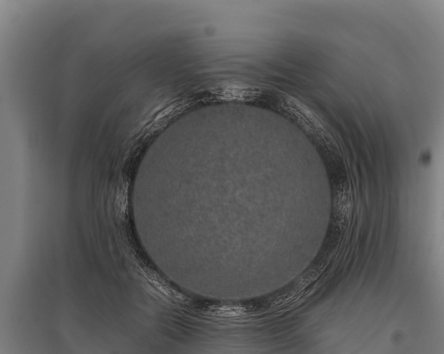 X0000095950554200801181424