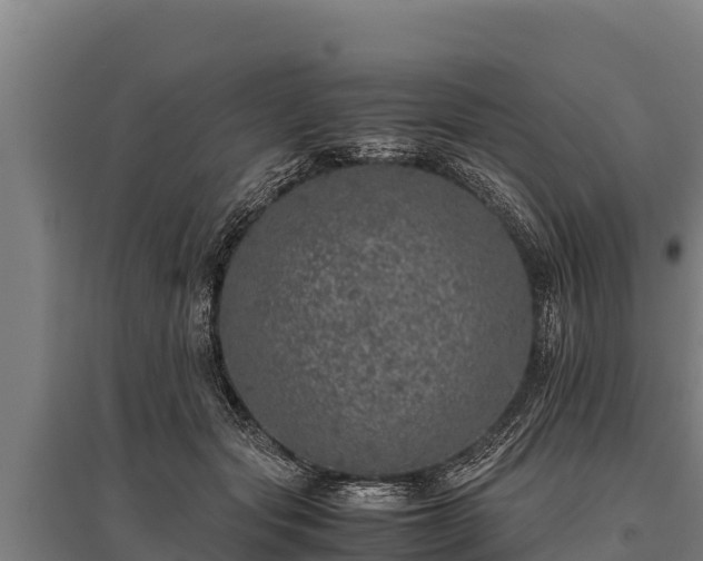 X0000095950557200801181425