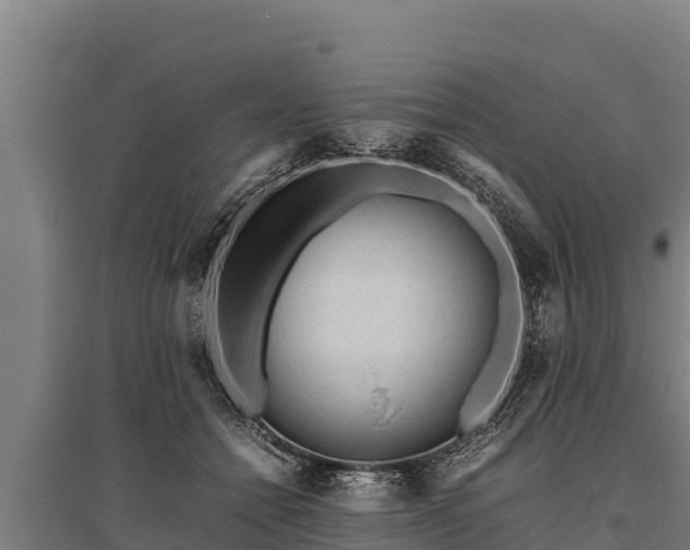 X0000095950558200801181425