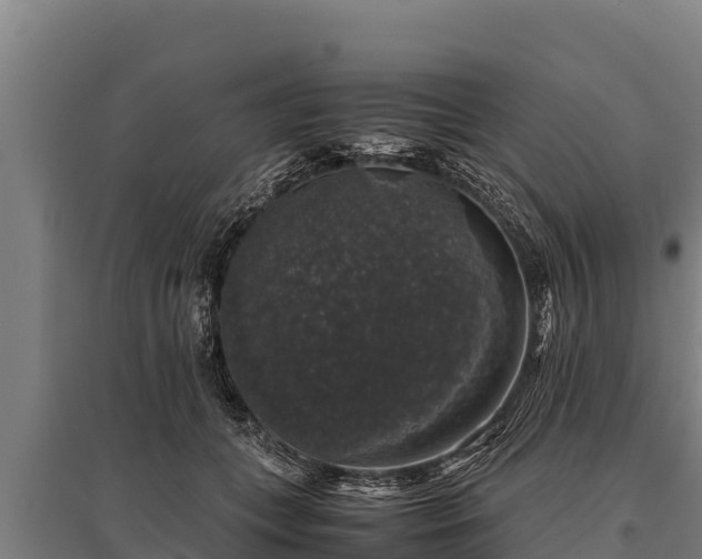 X0000095950559200801181425