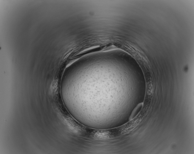 X0000095950560200801181425