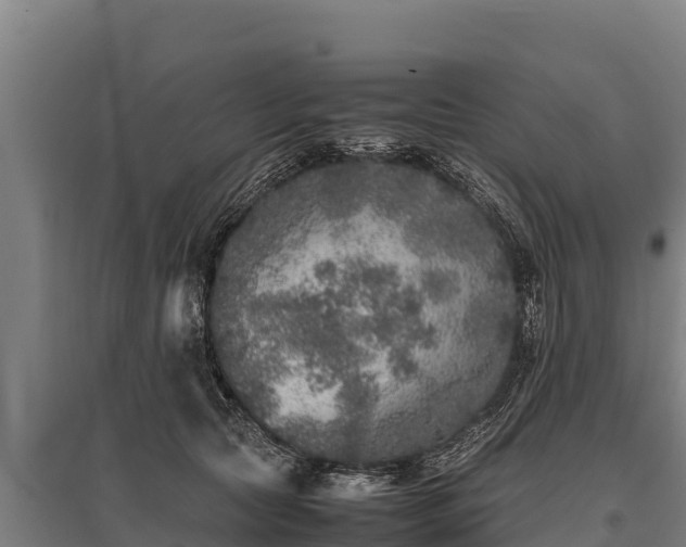 X0000095950561200801181425