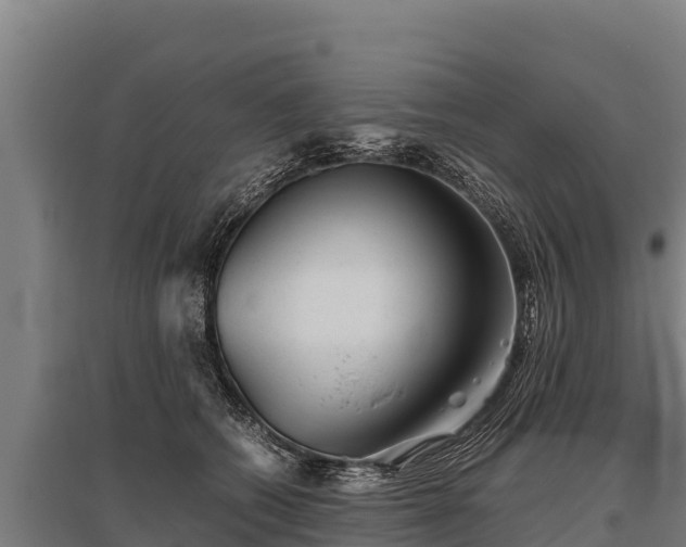 X0000095950562200801181425