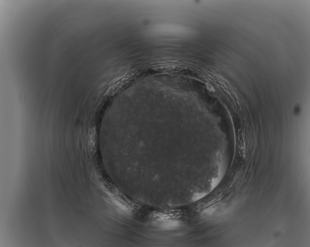 X0000095950563200801181425