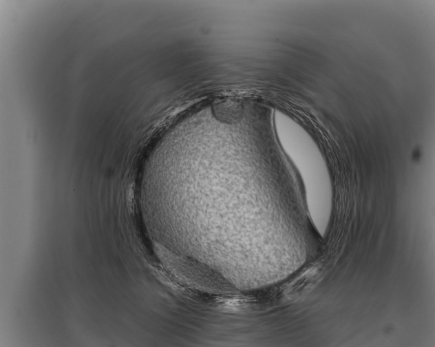 X0000095950564200801181425