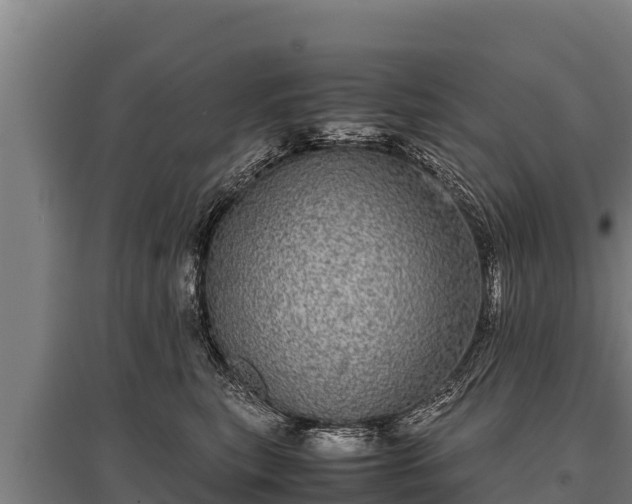 X0000095950567200801181425