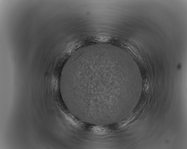 X0000095950568200801181425