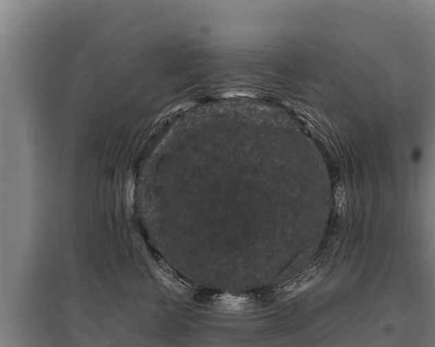 X0000095950570200801181425