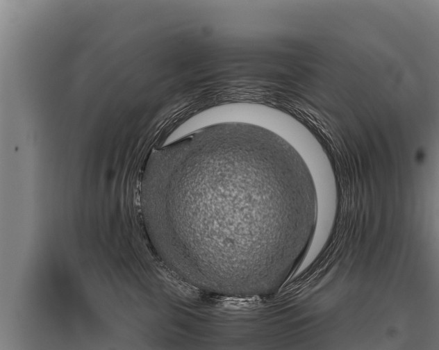 X0000095950571200801181425