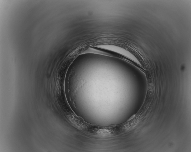 X0000095950572200801181425