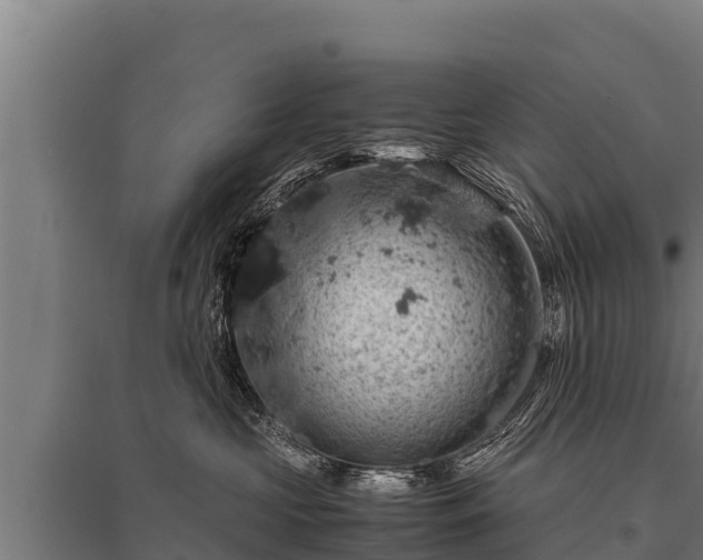 X0000095950573200801181425