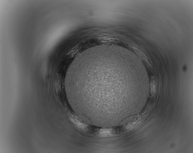 X0000095950574200801181425