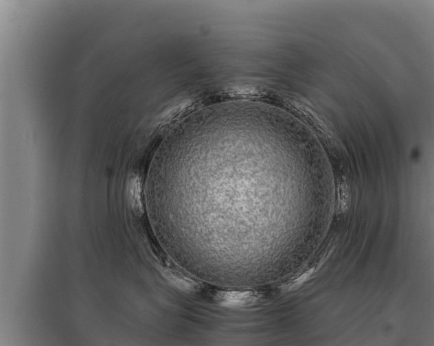 X0000095950575200801181425