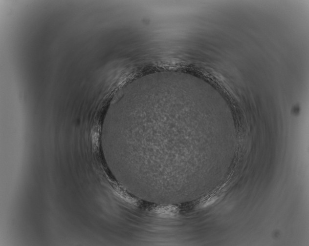 X0000095950576200801181425