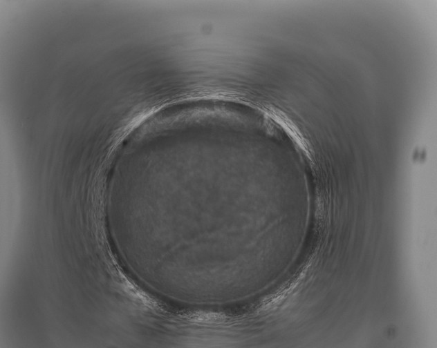 X0000095950577200801181424