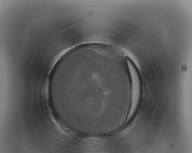 X0000095950580200801181424