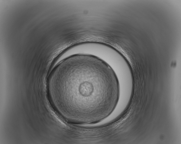 X0000095950581200801181424