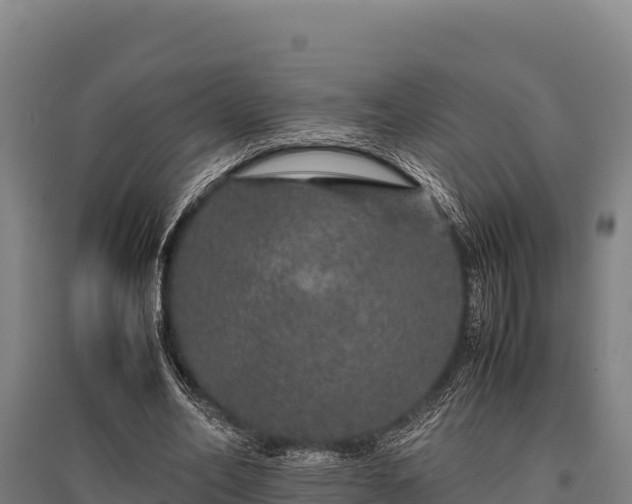 X0000095950582200801181424