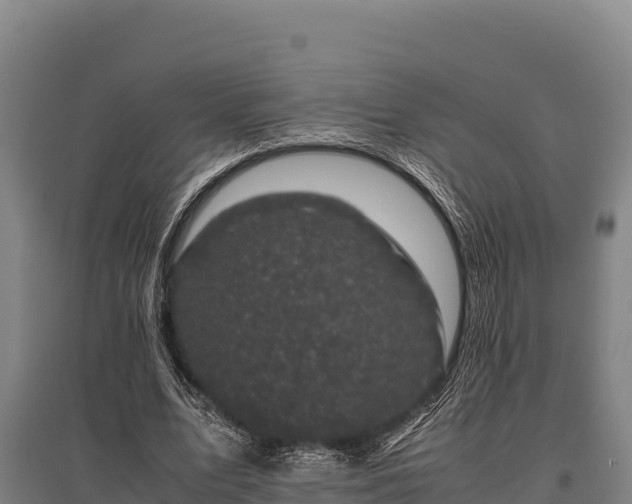 X0000095950583200801181424