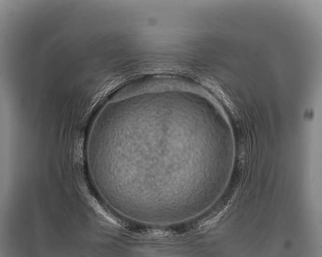 X0000095950585200801181424