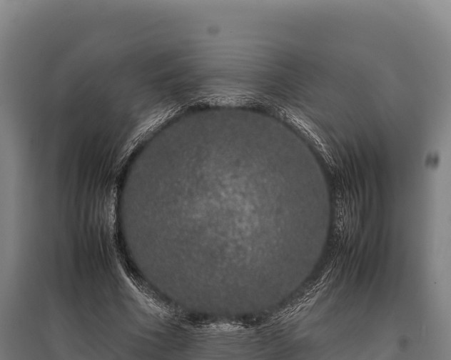 X0000095950586200801181424