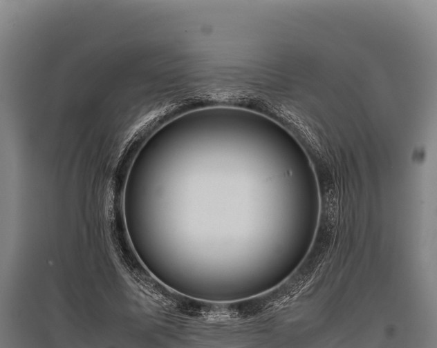 X0000095950587200801181424