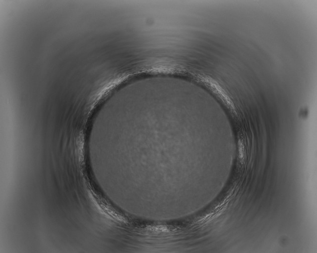 X0000095950588200801181424