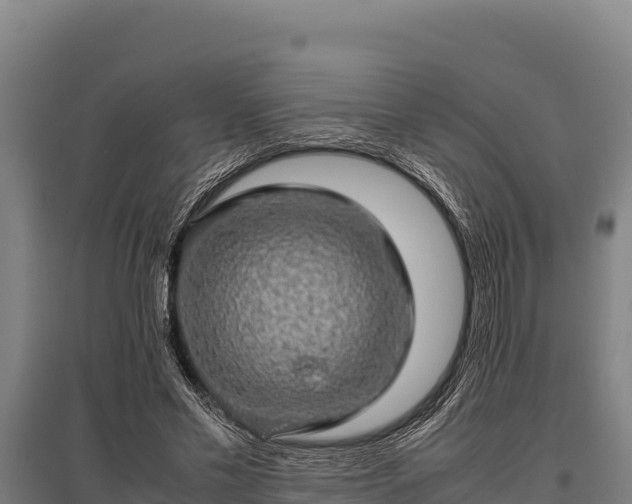 X0000095950589200801181424