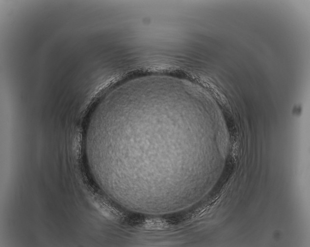 X0000095950591200801181424