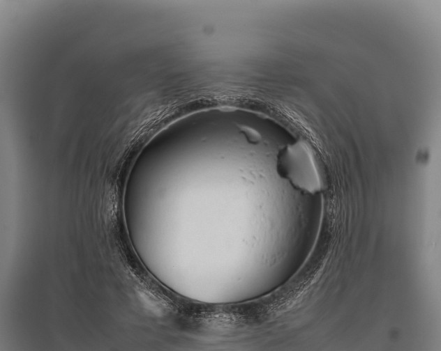 X0000095950593200801181424