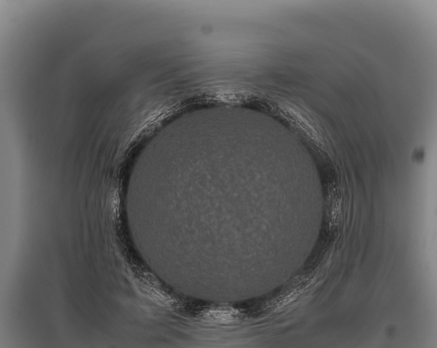 X0000095950595200801181424