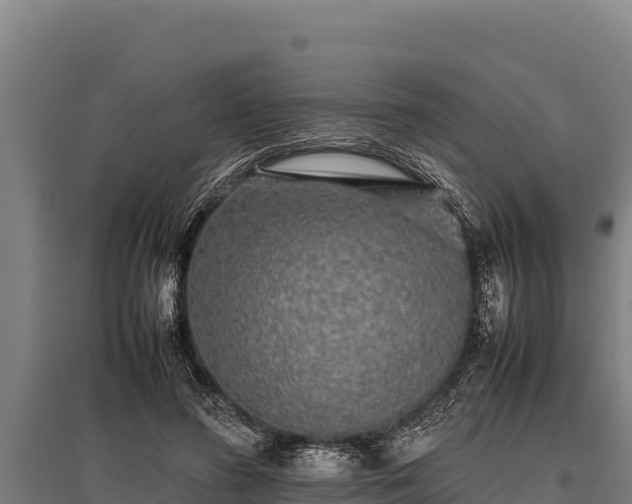 X0000095950596200801181424