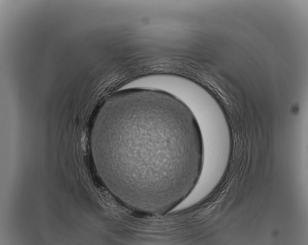 X0000095950597200801181424