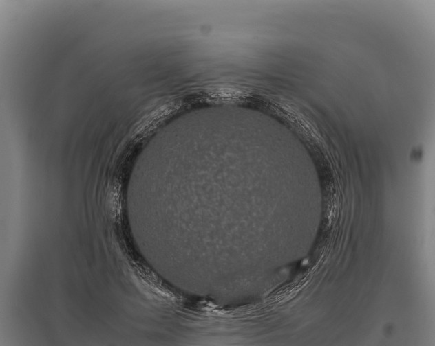 X0000095950599200801181424