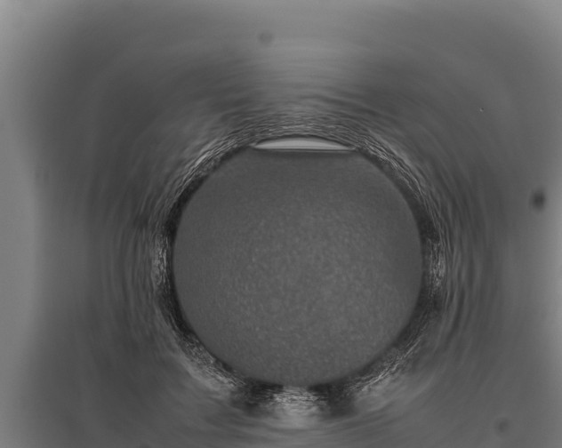 X0000095950603200801181424