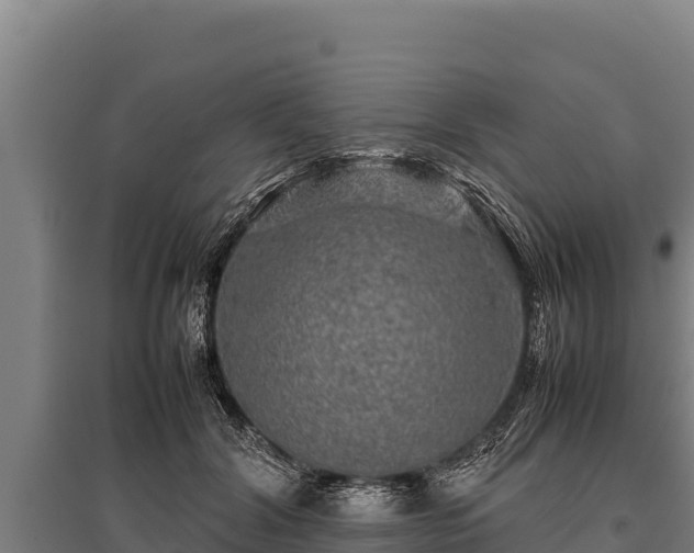 X0000095950604200801181424