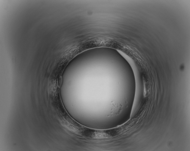 X0000095950605200801181424