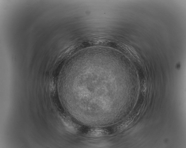 X0000095950607200801181424