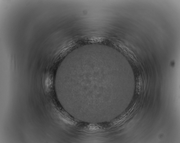 X0000095950608200801181424