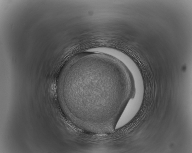 X0000095950609200801181424