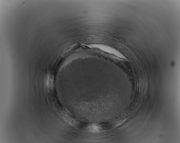 X0000095950610200801181424