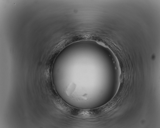 X0000095950611200801181424