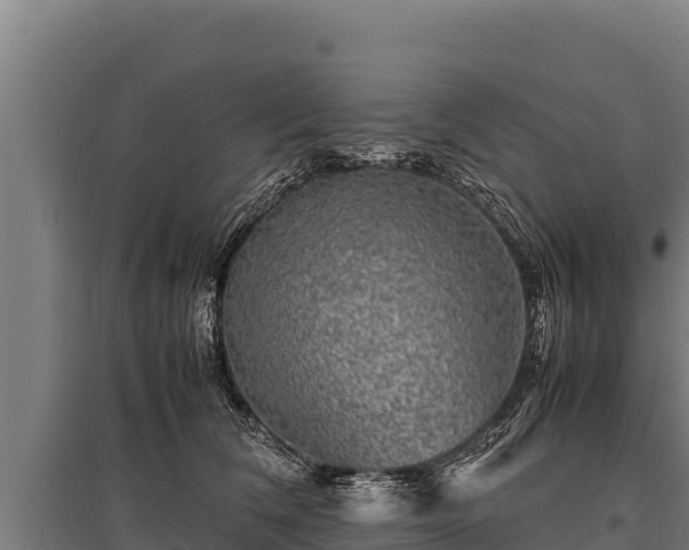 X0000095950612200801181424