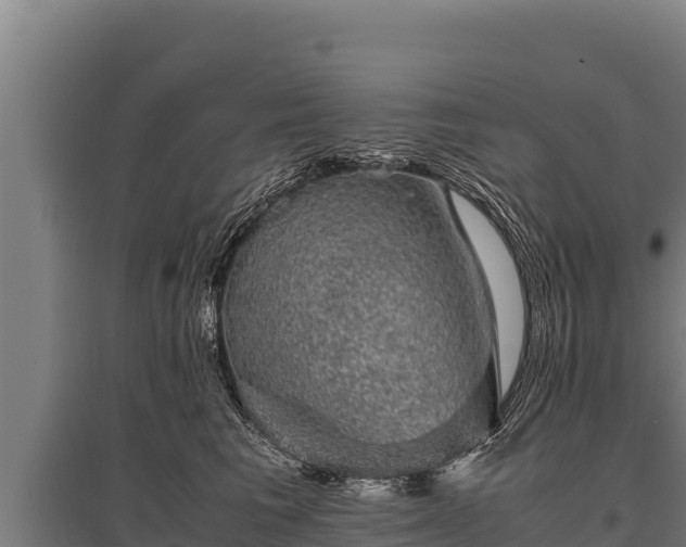 X0000095950613200801181424