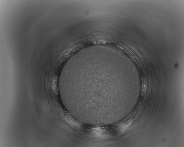 X0000095950616200801181424